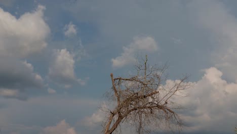 Toten-trockenen-Baum-mit-schönen-Berge-und-Wolken