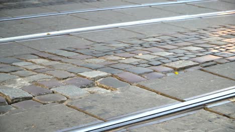 Zebrastreifen.-Menschen-überqueren-Sie-die-Straße-an-einem-Fußgängerüberweg-in-einer-großen-Stadt.-Autos-an-einer-Ampel-angehalten.