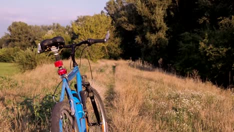 Andar-en-bicicleta-en-la-naturaleza.