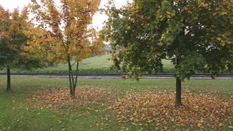 Bäume-im-Herbst.-Herbstliche-Bäume-und-Blätter.-Eisenbahn-im-Park.