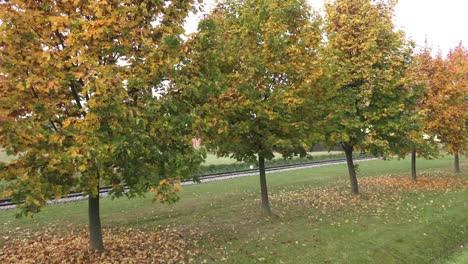 Bäume-im-Herbst.-Herbstliche-Bäume-und-Blätter.-Eisenbahn-im-Park.