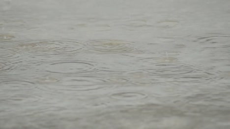 Las-gotas-de-lluvia-caen-en-una-lluvia-Charco-un-día-de-lluvia