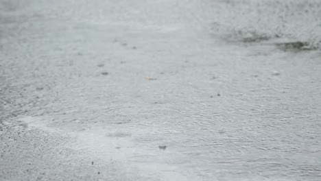 Regentropfen-fallen-in-einer-Pfütze-Regen-am-Tag