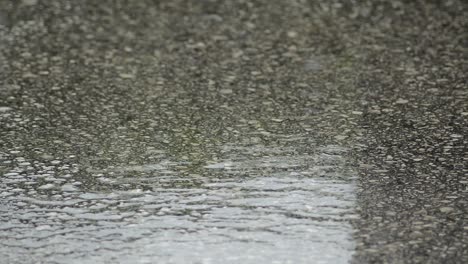 Drops-of-rain-falling-in-the-asphalt-a-raining-day