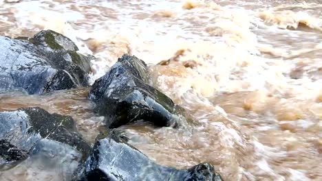 Head-stream-in-the-rain-forest,-chiangmai-Thailand