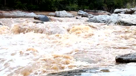 Kopf-Stream-in-den-Regenwald,-Chiangmai-Thailand