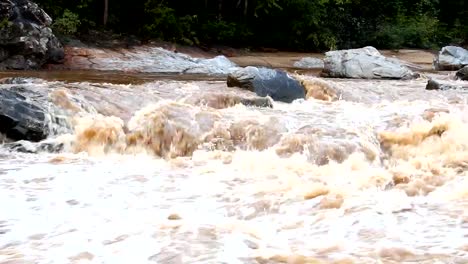 Head-stream-in-the-rain-forest,-chiangmai-Thailand