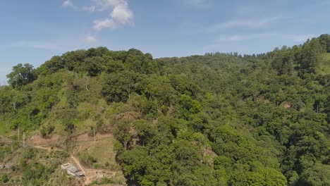 tropical-landscape-rainforest-and-mountains