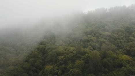 Rainforest-in-cloud,-Bali,Indonesia