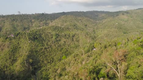 tropische-Landschaft-Regenwald-und-Berge