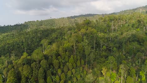 montañas-y-paisaje-tropical-rainforest