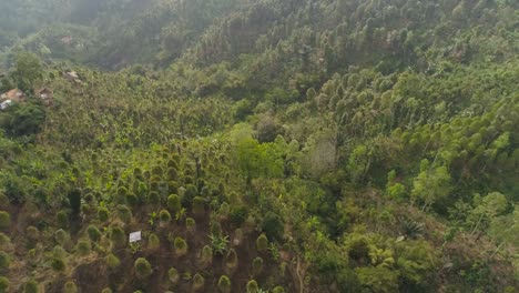 Berg-Landschaft-Ackerland-und-Dorf-Bali,-Indonesien