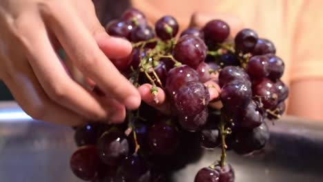 Trauben-nach-Hause-Wein-Obstverarbeitung-Obst-vom-Stamm-entfernen