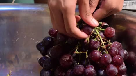 Grape-fruit-home-wine-processing-removing-fruit-from-stem