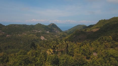 Tropical-landscape-with-palm-trees.-Philippines