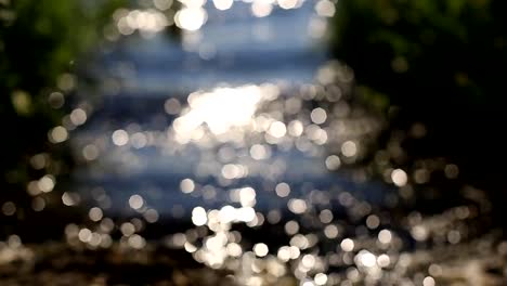 sun-glare-on-the-surface-of-the-forest-lake.-in-the-blur-of-bokeh.