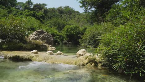 River-in-the-rainforest