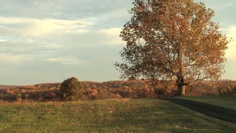 Montañas-de-otoño