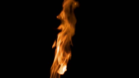 Flames-in-black-studio