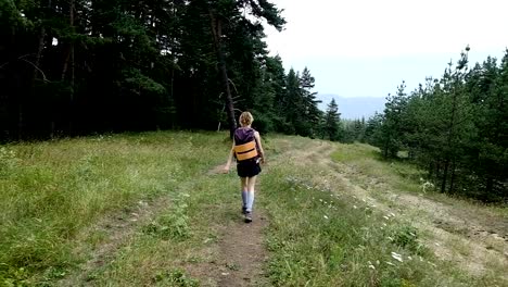 Turismo-de-mujer-con-una-mochila-camina-con-una-mochila-en-un-parque-nacional-en-el-bosque-en-el-verano,-cámara-lenta