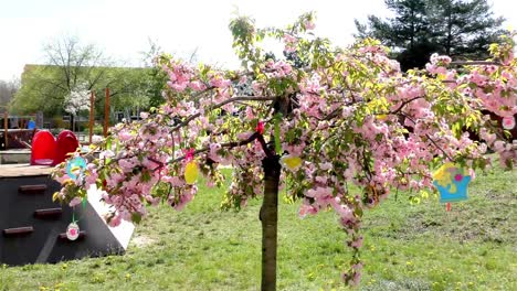 El-árbol-de-Pascua-en-el-jardín---Edificio-Público-Moderno-Kindergarten---Preescolar