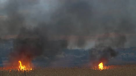 Beeindruckende-Aussicht-auf-zwei-riesige-Flammenzentren,-die-Katzenschwänze-verschlingen-und-nachts-im-Frühling-am-Dnipro-säumen.-Moderne-Häuser-sind-in-der-Nähe-zu-sehen.