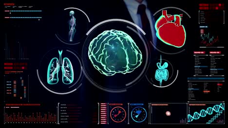 Hombre-de-negocios-tocando-pantalla-digital,-cerebro-de-escaneo,-corazón,-pulmones,-órganos-internos