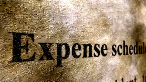 Expense-schedule-grunge-concept