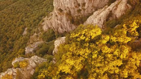 aerial-drone-flight-over-the-mountain-cliff-edge-high-above-with-sunset-massive-forest