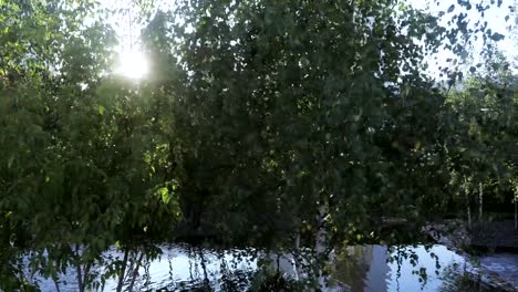 Cascade-pond-in-the-park