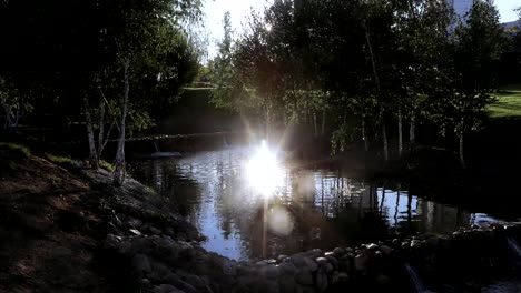 Cascade-pond-in-the-park