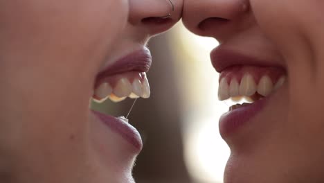 Novias-pareja-gay-lesbiana-en-besándose.-Primer-plano-macro-de-gay-pareja-sonriendo-espejado-mutuamente