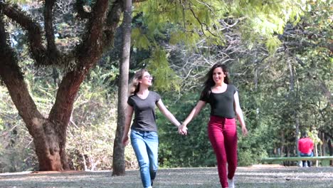 Amigas-gay-juntas-en-el-Parque-cogidos-de-la-mano