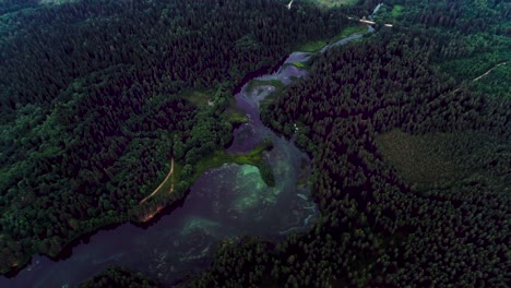 See-mit-türkisfarbenem-Wasser-und-grünen-Bäumen.-Landschaft-mit-Flüssen,-Wald,-See