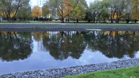 Teich-im-Stadtpark