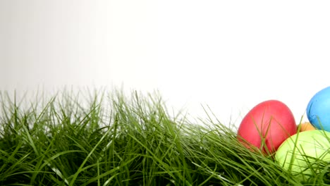 easter-eggs-in-grass