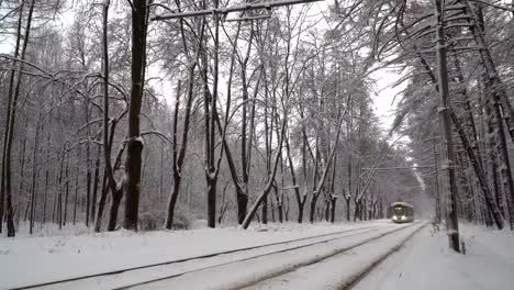 ride-on-the-modern-tram-through-winter-Park