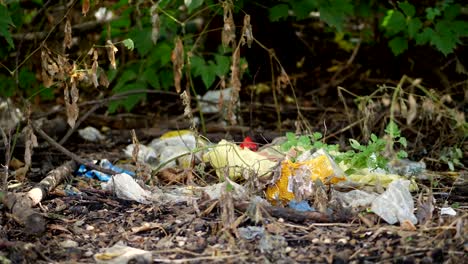 am-Boden,-am-Straßenrand-viel-Müll-liegt.-Müll,-Müll,-Autoreifen,-zerbrochenes-Glas,-Kunststoff,-alte-Dinge-verstreut.-Müllhalde.-Ökologie,-Verschmutzung-der-Umwelt