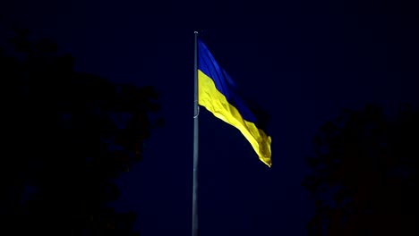 Ukrainische-Flagge-im-Wind-flattern