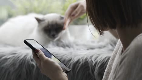 Frau-im-Chat-mit-ihrem-Handy-und-süße-Katze