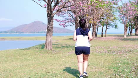 Una-mujer-asiática-gorda-que-trota-en-la-luz-del-sol-natural-por-la-mañana.
Ella-está-tratando-de-perder-peso-con-el-ejercicio.--concepto-de-salud-con-ejercicio.-Cámara-lenta