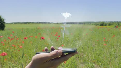 Holograma-de-flor-de-rosa-en-un-teléfono-inteligente