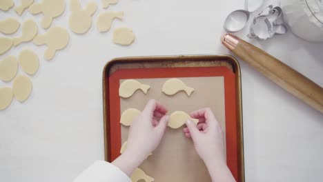 Unbaked-Easter-sugar-cookies-arranged-for-baking