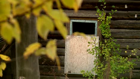 Russisches-Dorf-im-Herbst