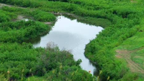 Sommertag,-Blick-vom-Hügel-auf-den-Bach-mit-Gras-im-Vordergrund