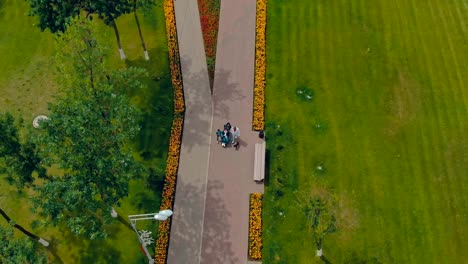 Un-tipo-en-silla-de-ruedas-camina-con-su-familia,-apoyo-familiar.-Vídeo-de-vista-aérea-desde-el-helicóptero.-Vista-superior.