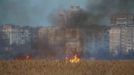 Sparkling-flame-whooping-on-wetland-on-the-Dnipro-quay-in-the-evening-in-slo-mo