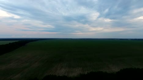 Aerial-shot-over-big-green-field-and-trees.