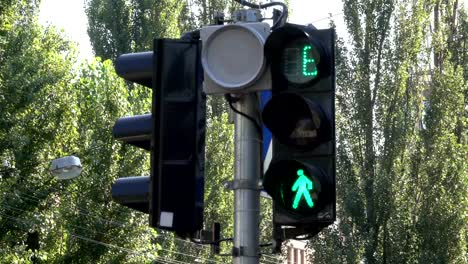 The-traffic-light-regulates-the-movement-of-cars