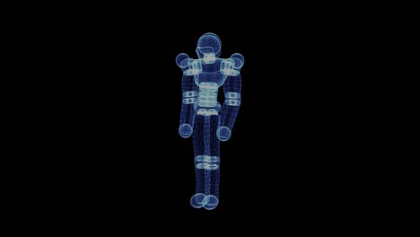 The-hologram-of-a-simple-cyborg